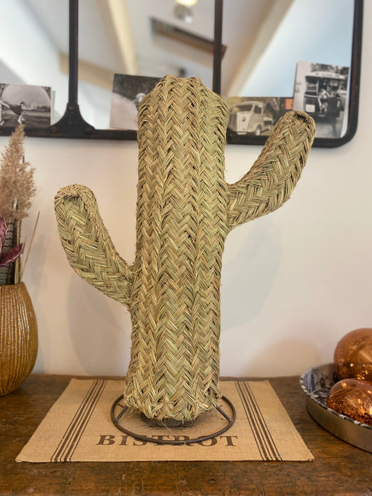 Cactus décoratif
